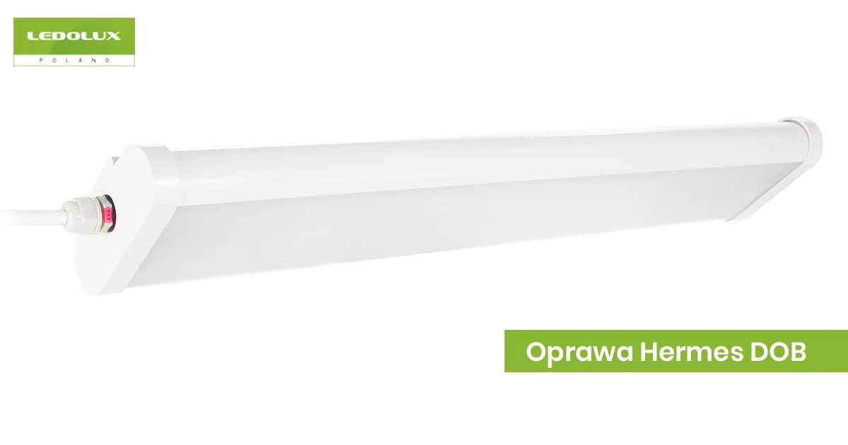 Linear LED luminaire Hermes DOB